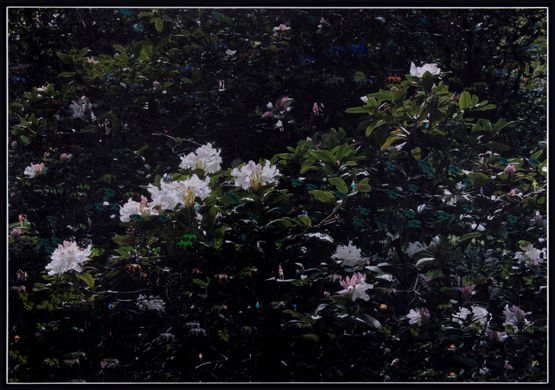 Karanlk Agaclarn Gecesi by Azade Koker contemporary artwork Painting