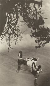 The Spring River Grows Warm by Lang Jingshan contemporary artwork photography