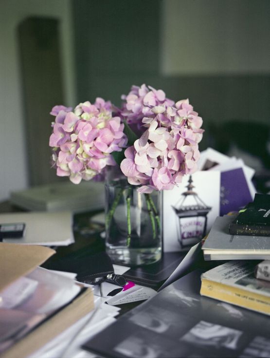 St Leonards 2012 Summer of Love Hydrangea No. 6 of Peonies in Bloom series by Becky Beasley contemporary artwork Print