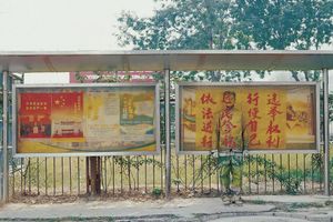 Liu Bolin