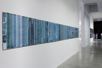 Peggy Weil contemporary artist