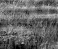 Disappearing Line by Idris Khan contemporary artwork Mixed Media