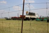 Grassland Fence Project  by Qin Ga contemporary artwork mixed media