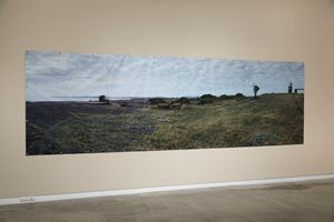 Ann Shelton