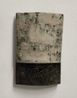 Coalescence-5 by Su Xiaobai contemporary artwork Painting