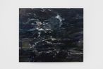 Eclipse Retinopathy  Bluelight Mutilation by Kristy M Chan contemporary artwork Painting
