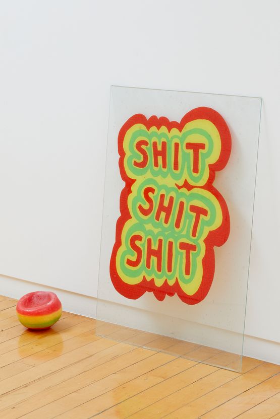 Shit by Sean Kerr contemporary artwork Mixed Media