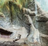 Nebulous panther and cascade by Eric Pillot contemporary artwork photography