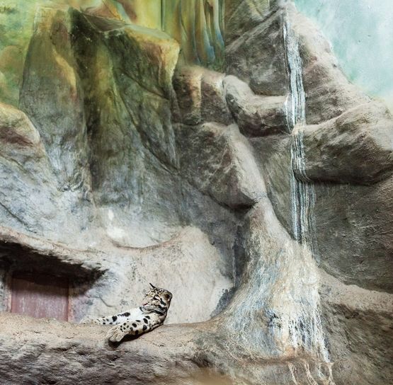 Nebulous panther and cascade by Eric Pillot contemporary artwork Photography