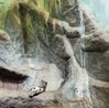 Nebulous panther and cascade by Eric Pillot contemporary artwork Photography