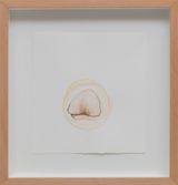 seed viii by Yasam Sasmazer contemporary artwork painting works on paper