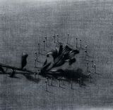 Flower and Pins by Youssef Abdelke contemporary artwork drawing works on paper