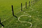 Andy Goldsworthy contemporary artist