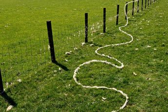 Andy Goldsworthy contemporary artist