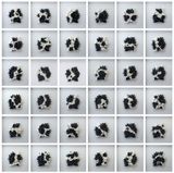 98CH 01-36 1998EKWC by Shen Fan contemporary artwork sculpture