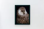 Whekau 2 Laughing owl Ninox albifacies adult male collection of the Museum of New Zealand Te Papa Tongarewa OR. 030061 Te Whanganui-a-Tara Wellington Aotearoa New Zealand by Fiona Pardington contemporary artwork Print