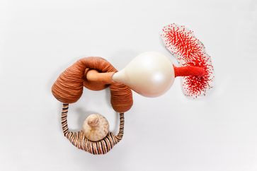 Maria Nepomuceno contemporary artist