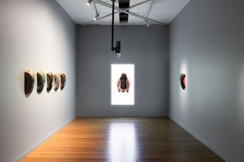 Contemporary art exhibition Julie Rrap Carapace at Roslyn Oxley9 Gallery Sydney Australia