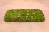 Moss Bed Twin by Meg Webster contemporary artwork sculpture