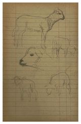 Study of Sheep by Pierre Adolphe Valette contemporary artwork drawing works on paper