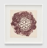 Desert Plant TAM.1560 from the Portfolio Flowers by Ruth Asawa contemporary artwork print works on paper