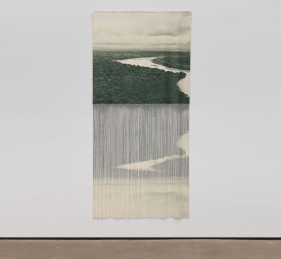 AMAZONIA I by Ana Gonzalez contemporary artwork Textile