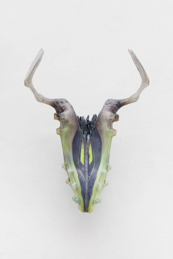 Untitled  Sem titulo by Adriano Amaral contemporary artwork Sculpture
