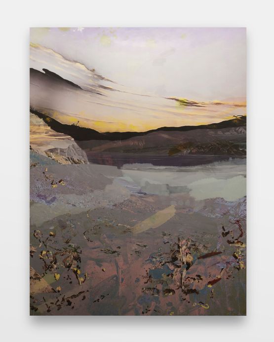 ribbonhost echocharm angelsoft sugarfax.exe by Petra Cortright contemporary artwork Painting
