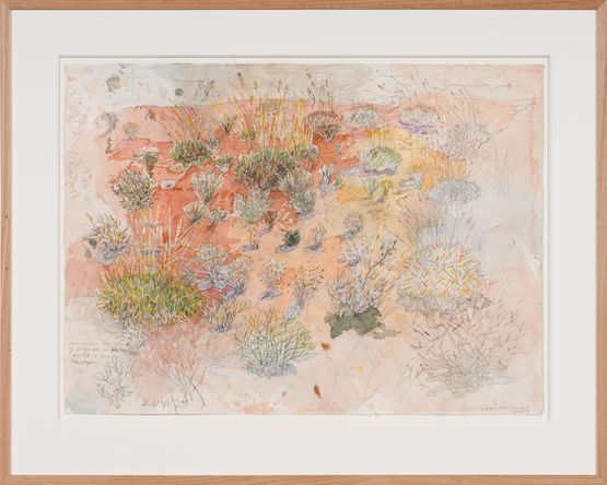 Spinifex plains  Watikinpirri by John Wolseley contemporary artwork Works on Paper