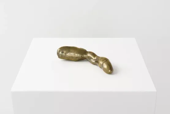 Insigna of power by Ana Lupas contemporary artwork Sculpture