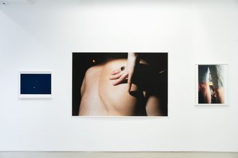 Contemporary art exhibition Wolfgang Tillmans Lumiere du matin at Galerie Chantal Crousel Paris France