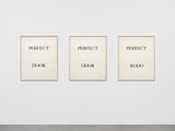 Perfect Door  Perfect Odor  Perfect Rodo by Bruce Nauman contemporary artwork print