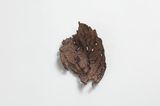 Dead Leaves Mr. Ns Former Factory3 by Aoyama Satoru contemporary artwork textile