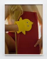 Yellow Bird Mitten no. 1 by Torbjrn Rdland contemporary artwork photography