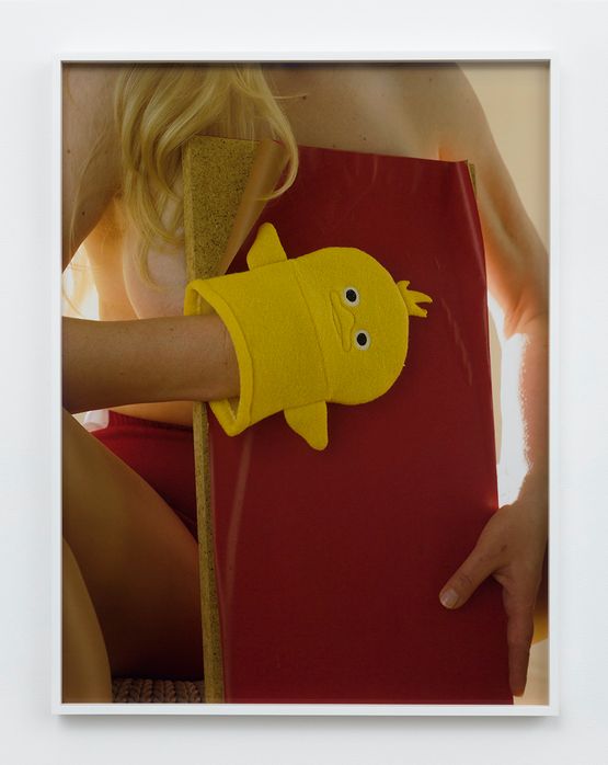 Yellow Bird Mitten no. 1 by Torbjrn Rdland contemporary artwork Photography