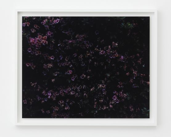 Shinjuku Tokyo by Chikashi Suzuki contemporary artwork Print