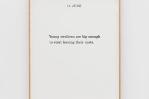 Marcus Coates
