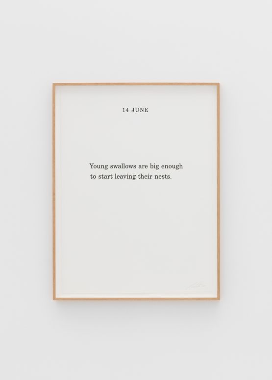 Nature Calendar 14 June by Marcus Coates contemporary artwork Print