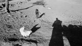 Pati by Sohrab Hura contemporary artwork moving image