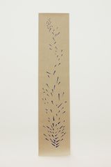 Pochote by Mariana Castillo Deball contemporary artwork drawing painting