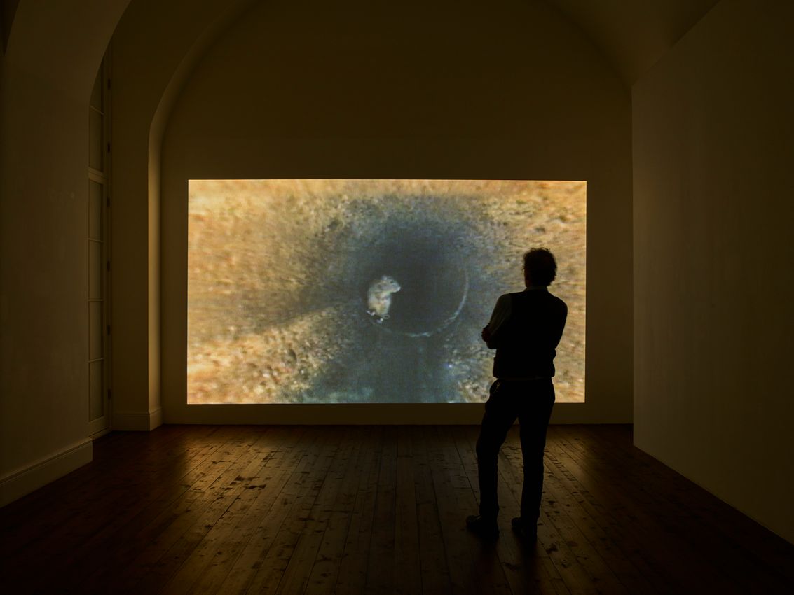 Peter Fischli / David Weiss