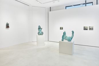 Contemporary art exhibition Emiliano Maggi Splendour in the Grass at SETAREH Dusseldorf Germany