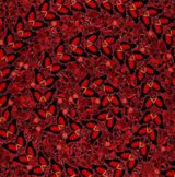 The Empresses H10-5 Taytu Betul by Damien Hirst contemporary artwork print