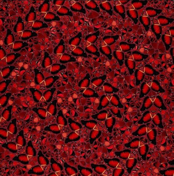 The Empresses H10-5 Taytu Betul by Damien Hirst contemporary artwork Print