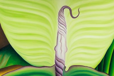 SP-Arte Artwork Selections