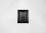 Tui Mountain Whanganui Museum by Fiona Pardington contemporary artwork photography
