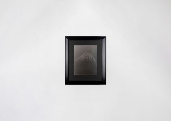Tui Mountain Whanganui Museum by Fiona Pardington contemporary artwork Photography