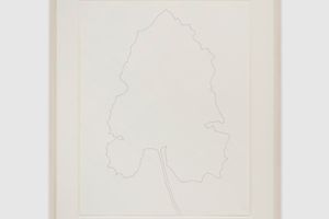 Ellsworth Kelly