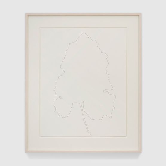 Burdock by Ellsworth Kelly contemporary artwork Works on Paper