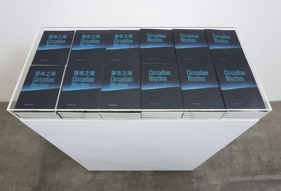 Circadian Rhythm by Cheng Ran contemporary artwork Mixed Media